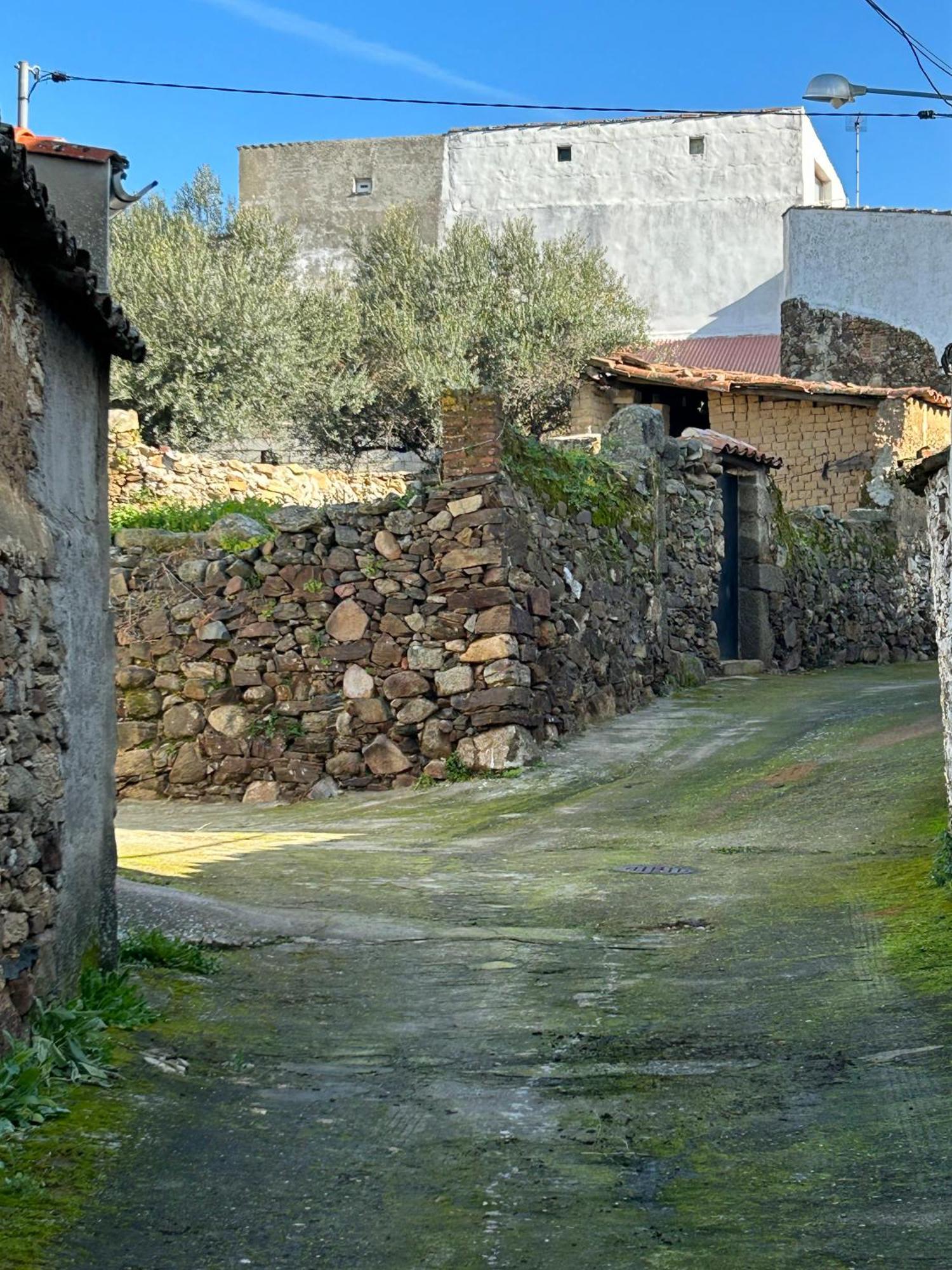 Casa Rural La Manzanilla Salvatierra de Santiago Eksteriør billede