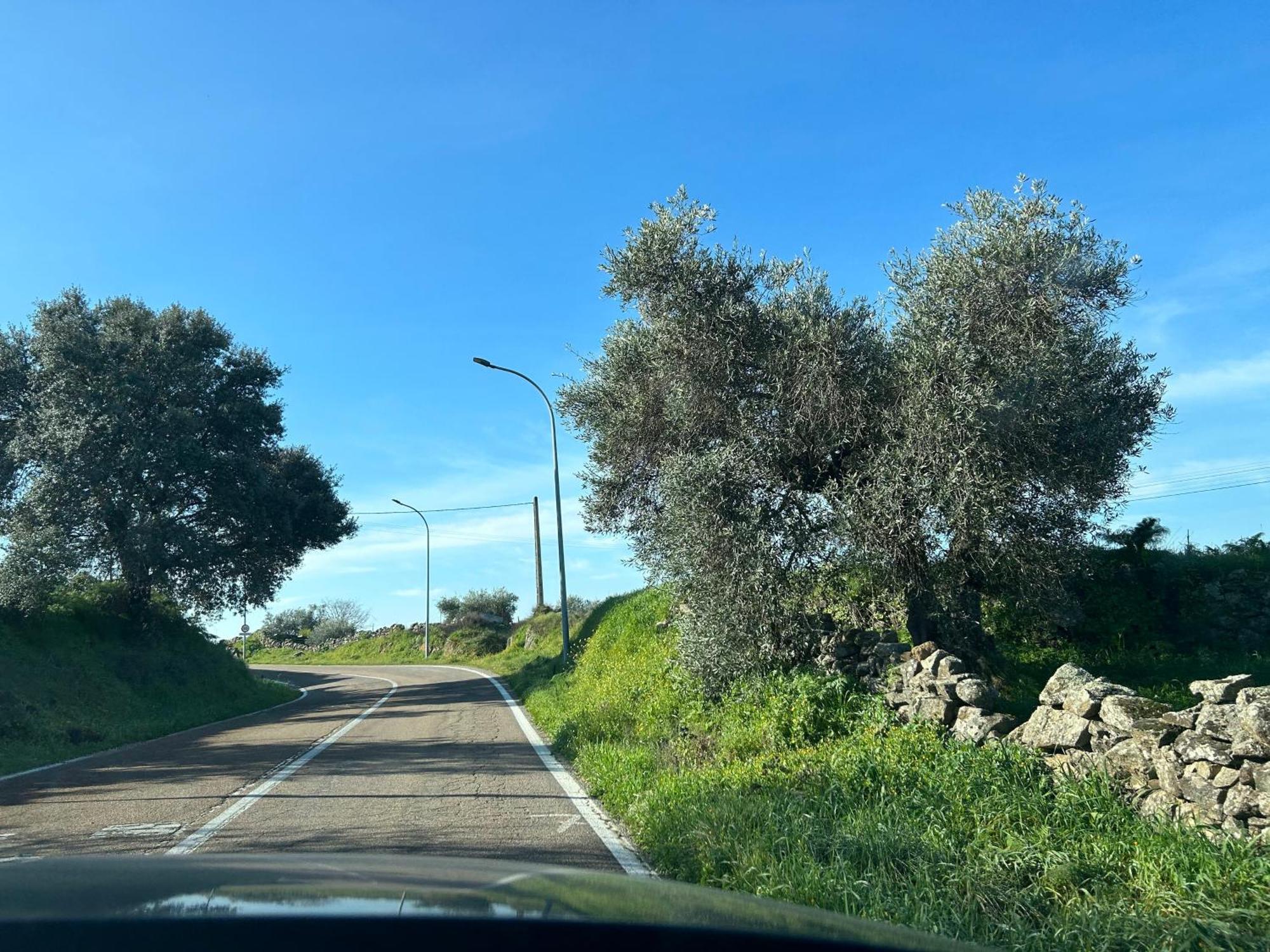 Casa Rural La Manzanilla Salvatierra de Santiago Eksteriør billede